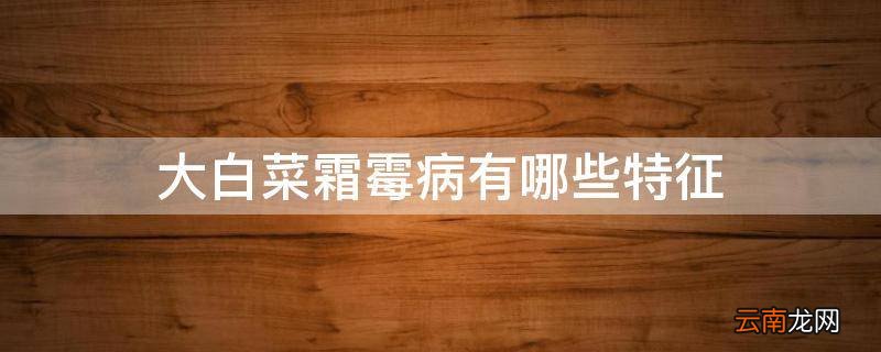 大白菜霜霉病有哪些特征