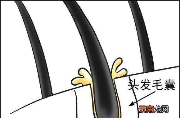 早上洗头衰老的快吗 为什么早上洗头容易衰老