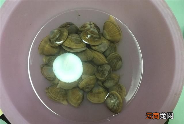 丹东大黄蚬怎么吃,丹东黄蚬子干货怎么吃最好