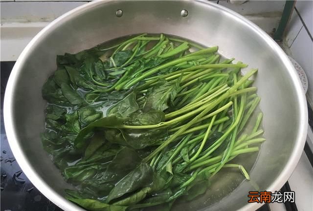 丹东大黄蚬怎么吃,丹东黄蚬子干货怎么吃最好
