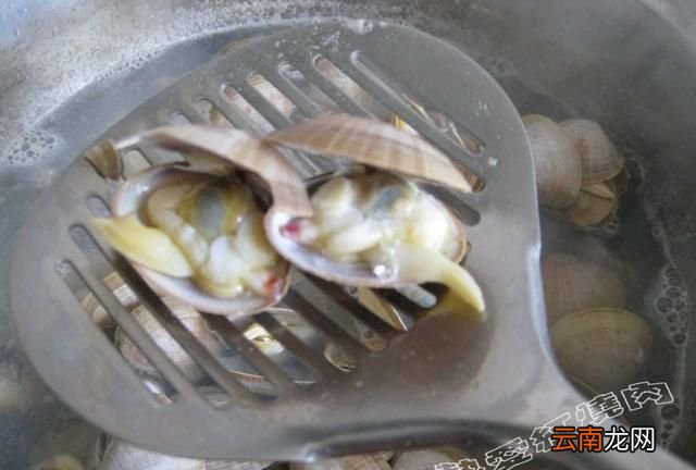 丹东大黄蚬怎么吃,丹东黄蚬子干货怎么吃最好