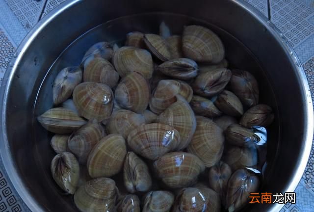 丹东大黄蚬怎么吃,丹东黄蚬子干货怎么吃最好