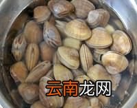 丹东大黄蚬怎么吃,丹东黄蚬子干货怎么吃最好