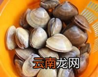 丹东大黄蚬怎么吃,丹东黄蚬子干货怎么吃最好