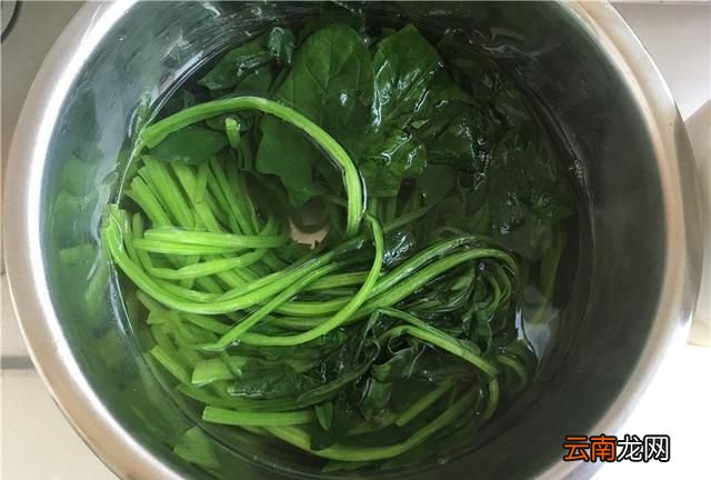 丹东大黄蚬怎么吃,丹东黄蚬子干货怎么吃最好