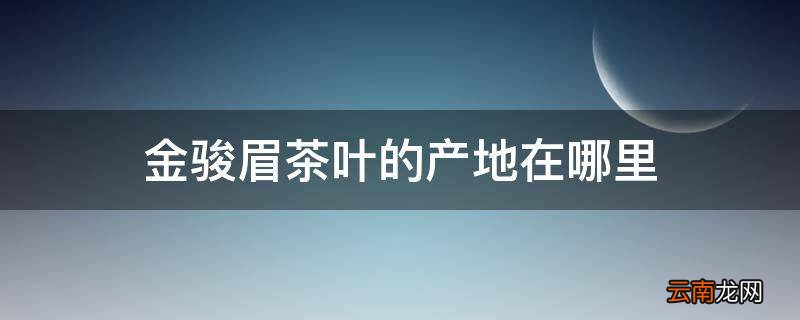 金骏眉茶叶的产地在哪里