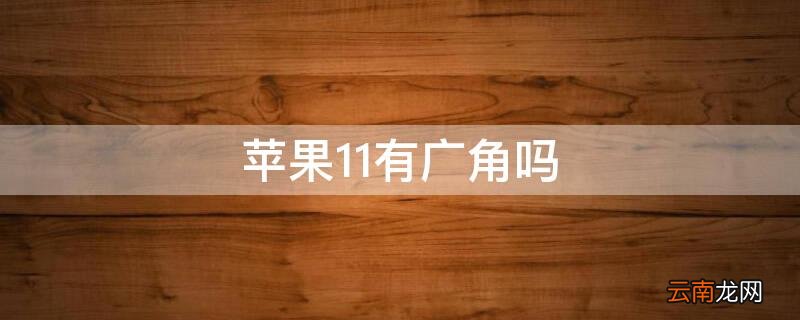 iPhone11有广角吗 iPhone12有广角么