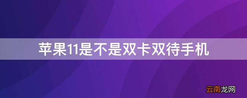 iPhone11 是双卡双待吗 iPhone11是不是双卡双待手机