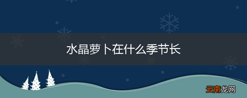 水晶萝卜在什么季节长