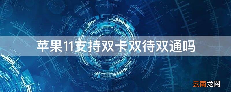 iPhone11支不支持双卡双待 iPhone11支持双卡双待双通吗