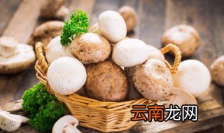 山上的蘑菇必须立秋吃吗 山上的蘑菇是不是必须立秋吃