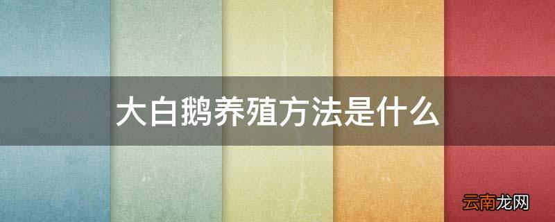 大白鹅养殖方法是什么