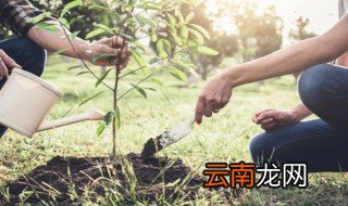 人与自然之间的关系 浅谈人与自然之间的关系