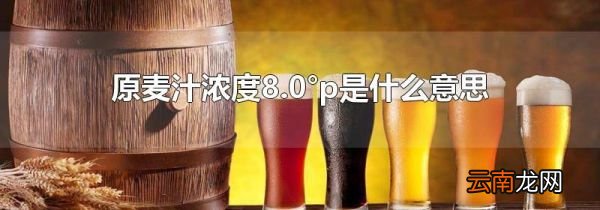 原麦汁浓度8.0°p是什么意思