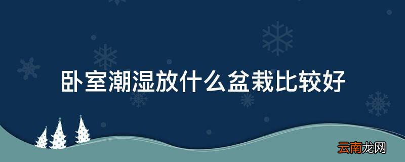 卧室潮湿放什么盆栽比较好