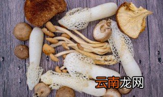 香菇煮多久合适 香菇最短煮多久才可以吃