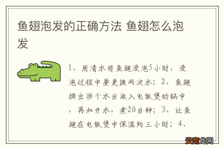 鱼翅泡发的正确方法 鱼翅怎么泡发