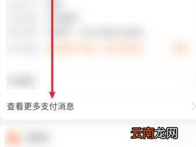支付宝还款助手怎么不显示