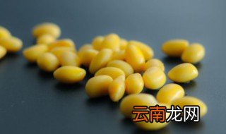煮黄豆汤的正确方法 煮黄豆汤的正确方法窍门