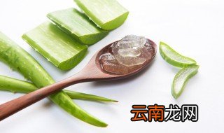 家里栽的芦荟可以直接涂脸吗 家里种的芦荟可以直接涂脸吗