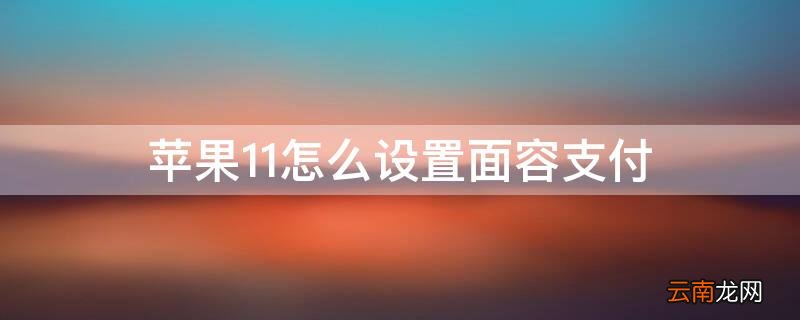 iPhone11怎么设置面容支付 苹果11手机怎么设置面容支付