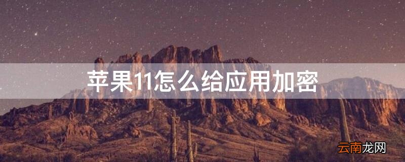 iphone 11怎么应用加密 iPhone11怎么给应用加密