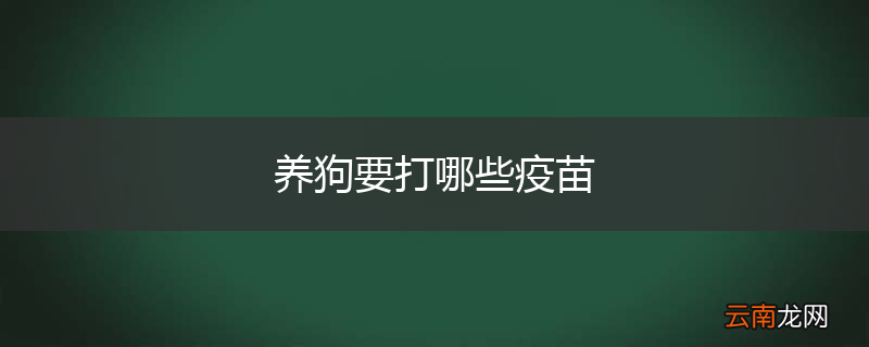 养狗要打哪些疫苗