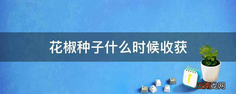 花椒种子什么时候收获