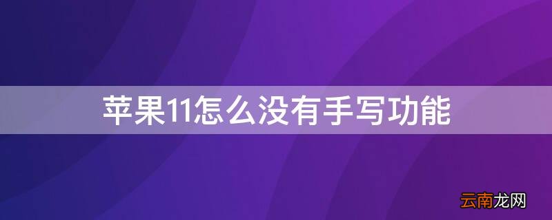 iPhone12怎么没有手写 iPhone11怎么没有手写功能