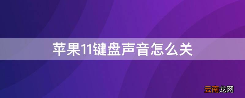 iPhone11键盘声音怎么关 iphone11键盘声音怎么开