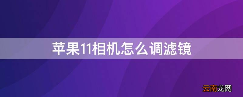 苹果11手机相机怎么调滤镜 iPhone11相机怎么调滤镜
