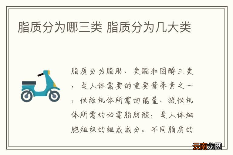 脂质分为哪三类 脂质分为几大类