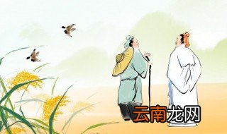 怎么评价辛弃疾的诗句 如何评价辛弃疾的诗句
