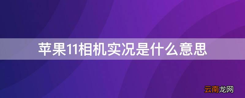 苹果11相机实况是什么意思 iPhone11相机实况是什么意思