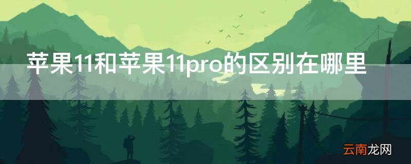 iphone 11和iphone11pro区别 iPhone11和iPhone11pro的区别在哪里
