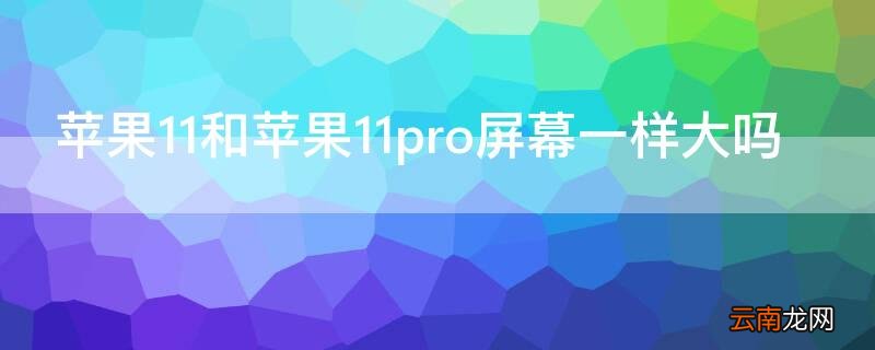 iphone12pro和11屏幕一样大吗 iPhone11和iPhone11pro屏幕一样大吗