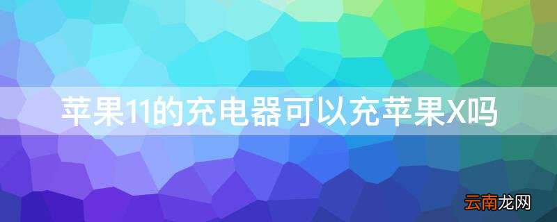 iPhone11的充电器可以充iPhoneX吗 苹果11用x的充电器可以吗