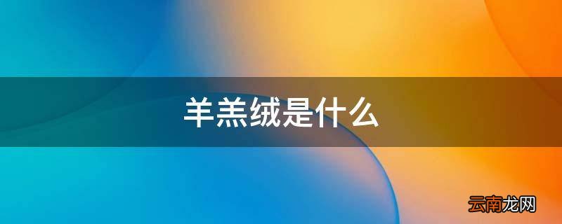 羊羔绒是什么