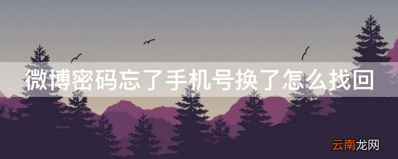 微博密码忘了手机号换了怎么找回账号 微博密码忘了手机号换了怎么找回