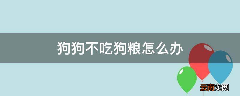 狗狗不吃狗粮怎么办