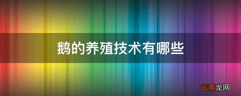 鹅的养殖技术有哪些
