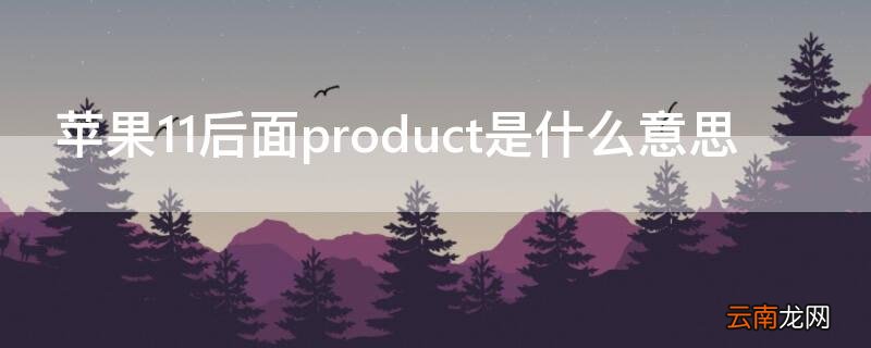 iPhone11后面product是什么意思