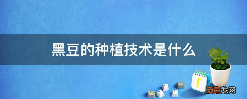 黑豆的种植技术是什么
