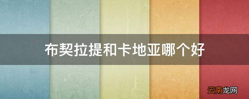 布契拉提和卡地亚哪个好