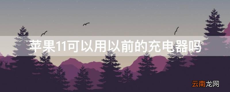 iphone11可以用以前的充电器充电吗 iPhone11可以用以前的充电器吗