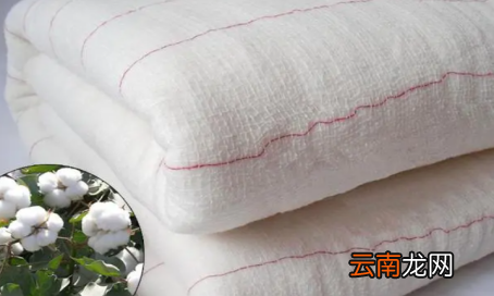 冬被芯什么材质的保暖又轻,冬季什么被子又轻又暖和又健康