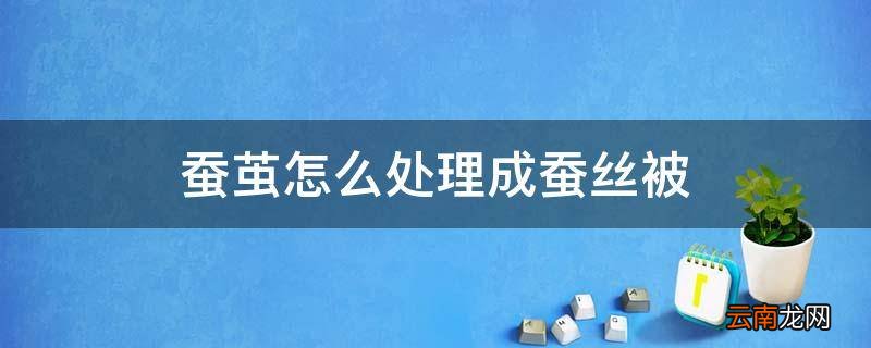 蚕茧怎么处理成蚕丝被