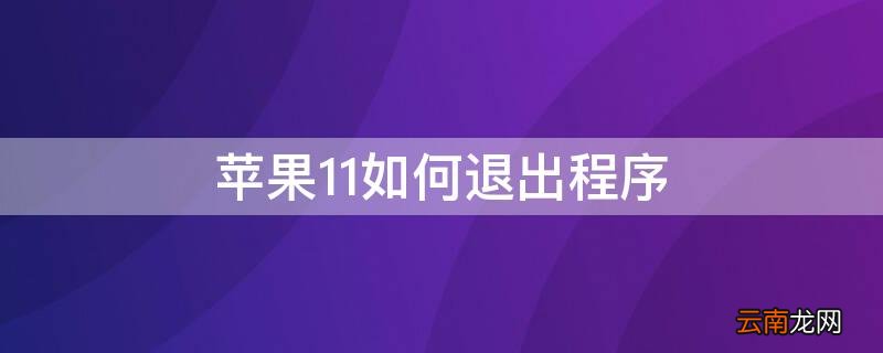 iphone11卡顿 iPhone11如何退出程序