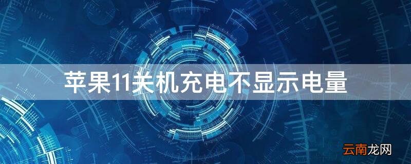 iPhone11关机充电不显示电量 苹果11关机充电不显示电量正常吗