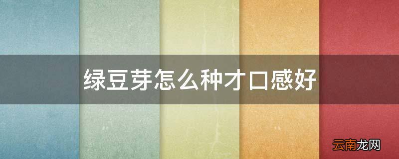 绿豆芽怎么种才口感好